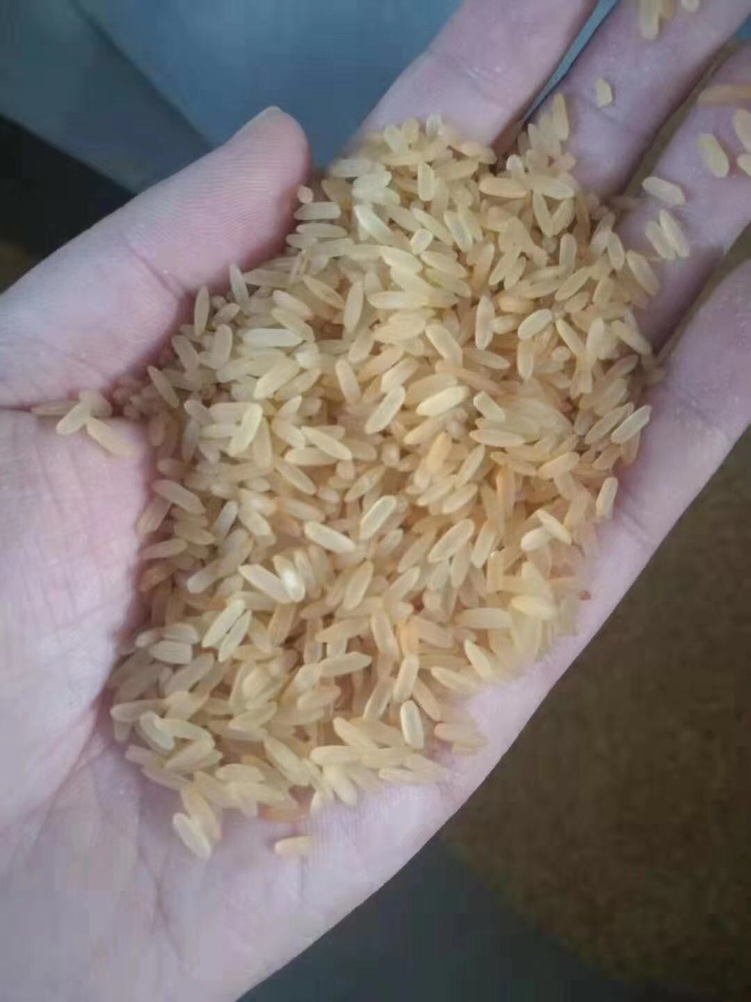 寰俊鍥剧墖_201911251314354.jpg 寰俊鍥剧墖_201911251314354.jpg